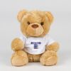 Bear in a t-shirt Thumbnail